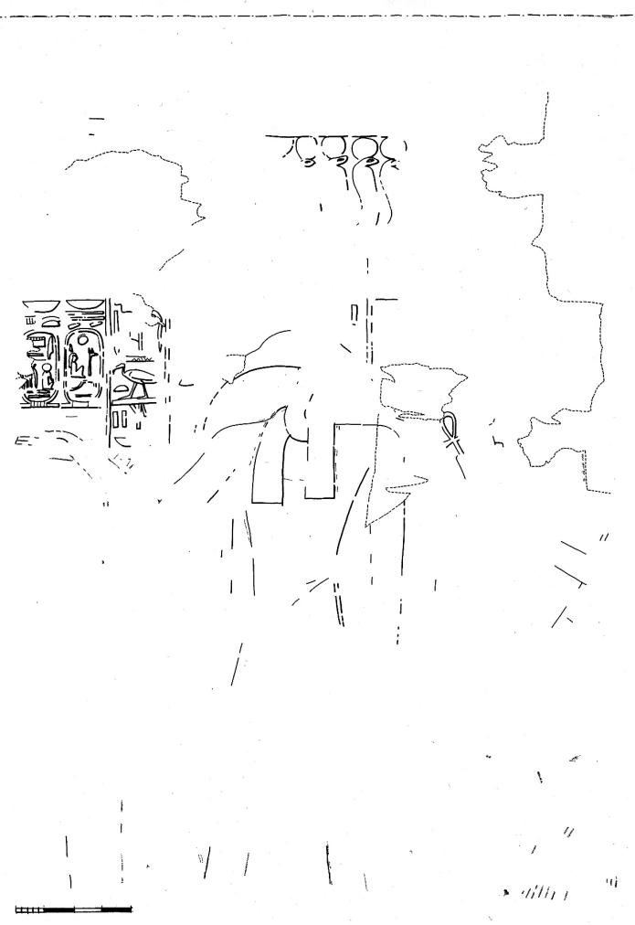 17113.jpg