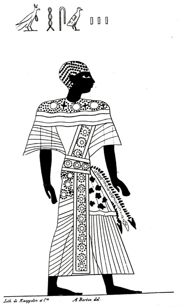 17397.jpg