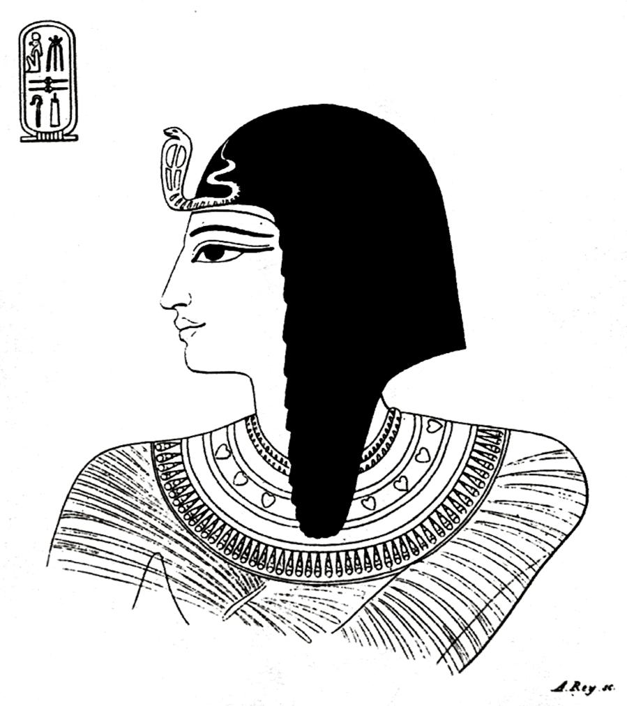17398.jpg