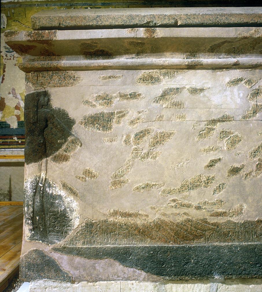 14163.jpg