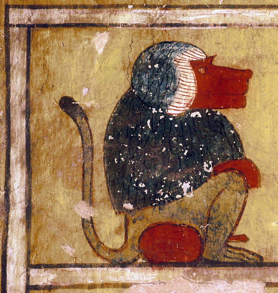 15268.jpg