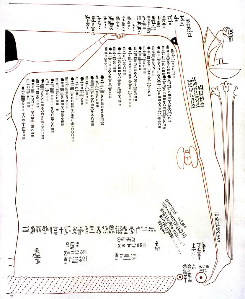 16559.jpg