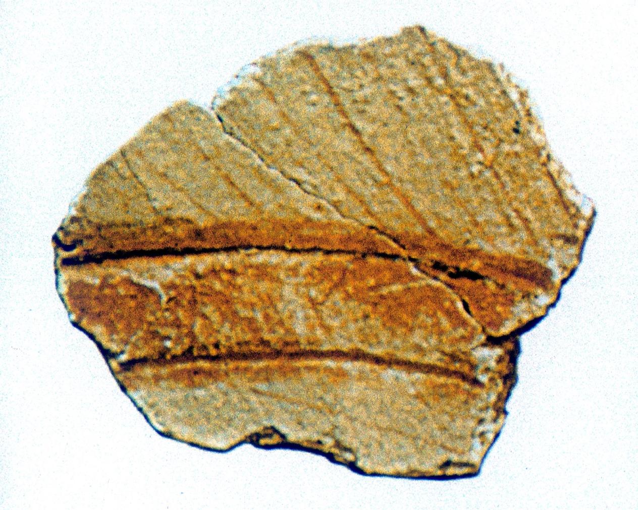 16948.jpg
