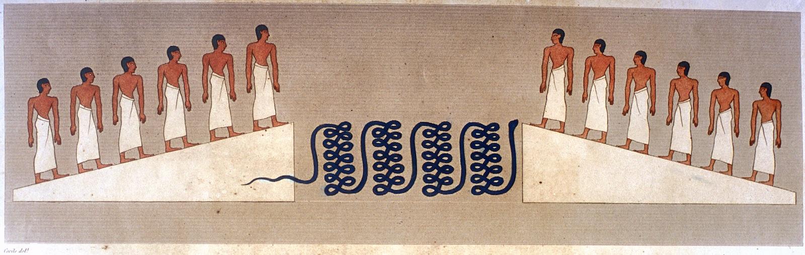 16568.jpg