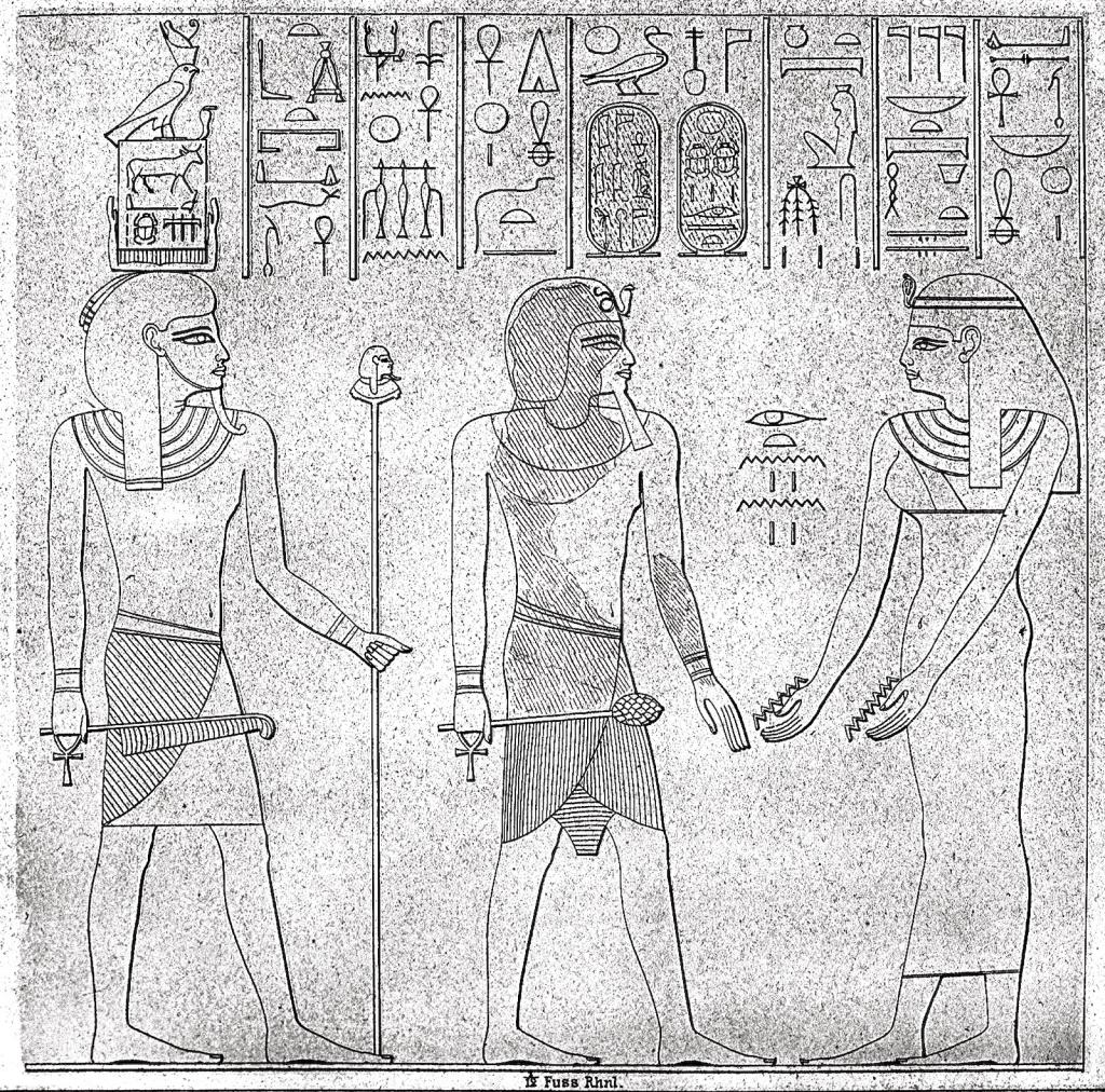 16594.jpg