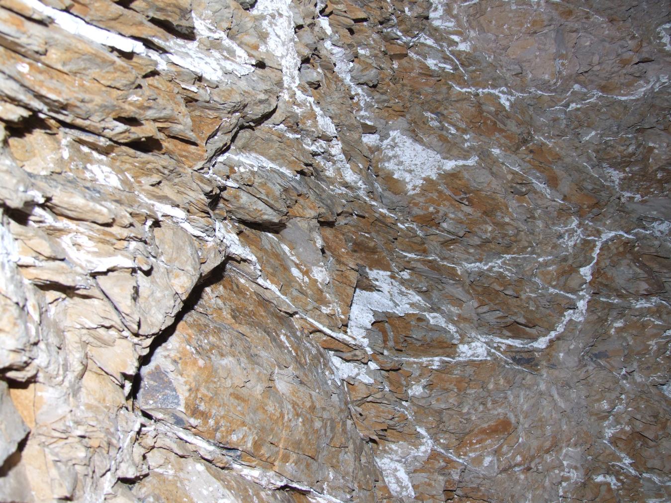 GCI/VOQ.00251.jpg