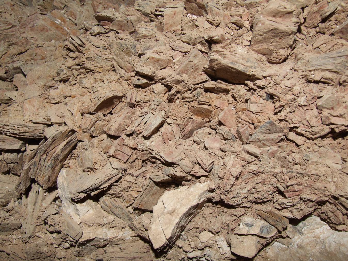 GCI/VOQ.00254.jpg