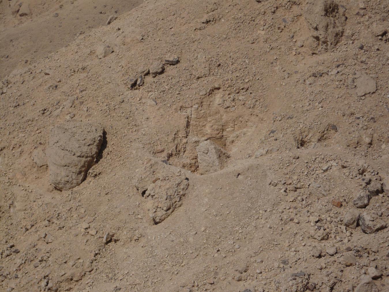 GCI/VOQ.00418.jpg