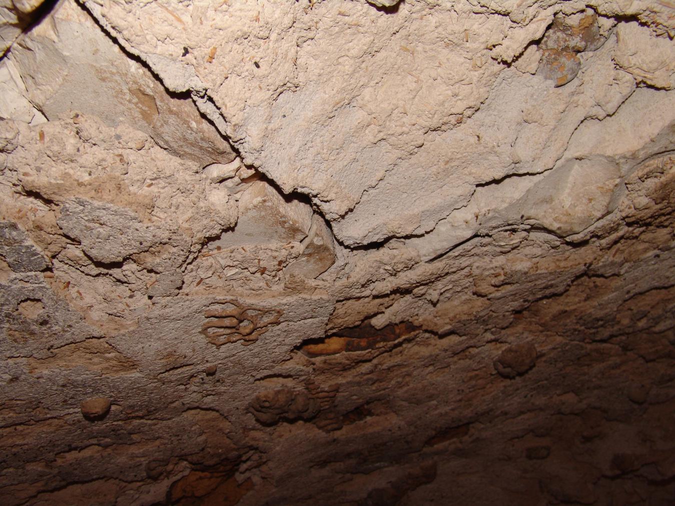 GCI/VOQ.00545.jpg