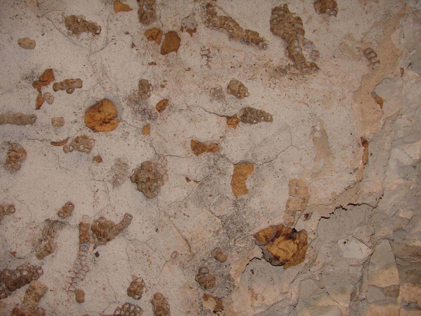 GCI/VOQ.00546.jpg