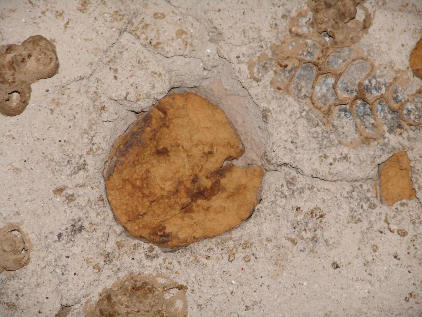 GCI/VOQ.00548.jpg
