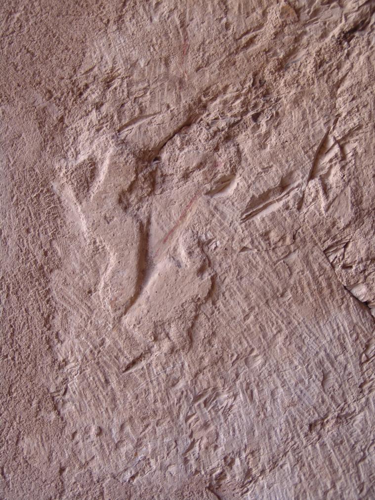 GCI/VOQ.00966.jpg