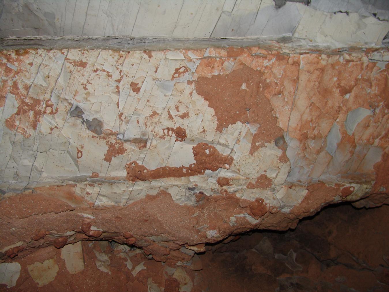 GCI/VOQ.01041.jpg