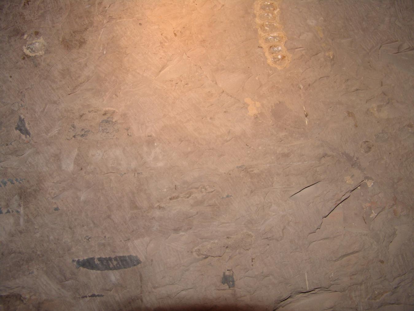 GCI/VOQ.01115.jpg