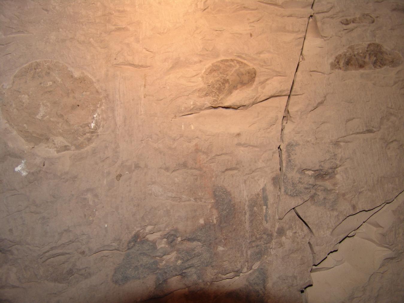 GCI/VOQ.01116.jpg