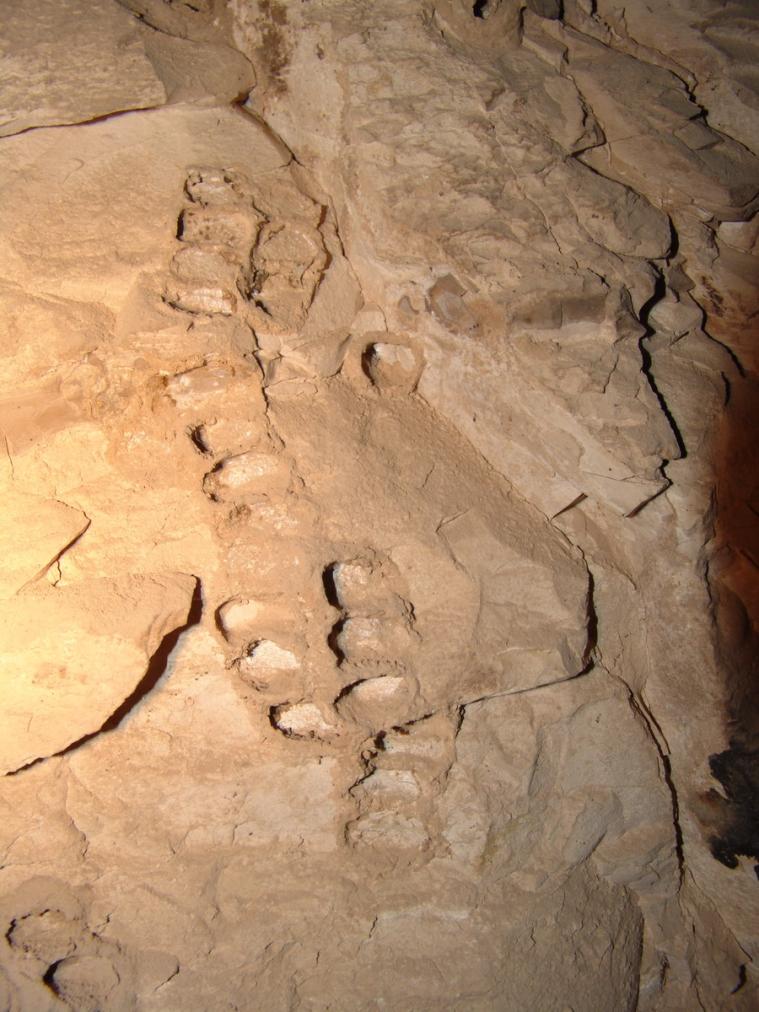 GCI/VOQ.01120.jpg