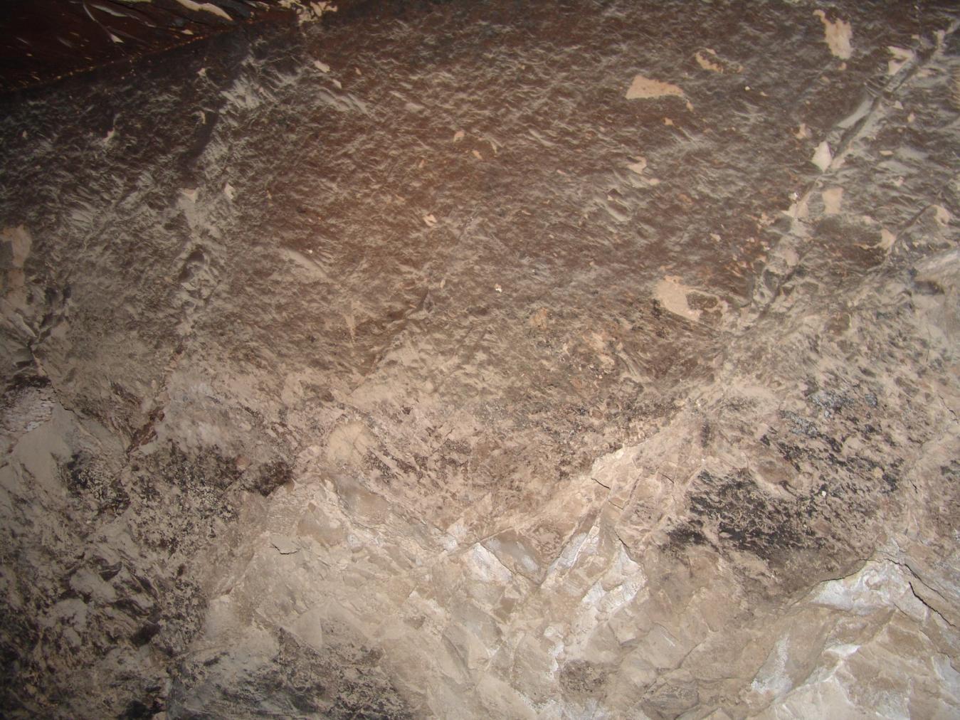 GCI/VOQ.01127.jpg