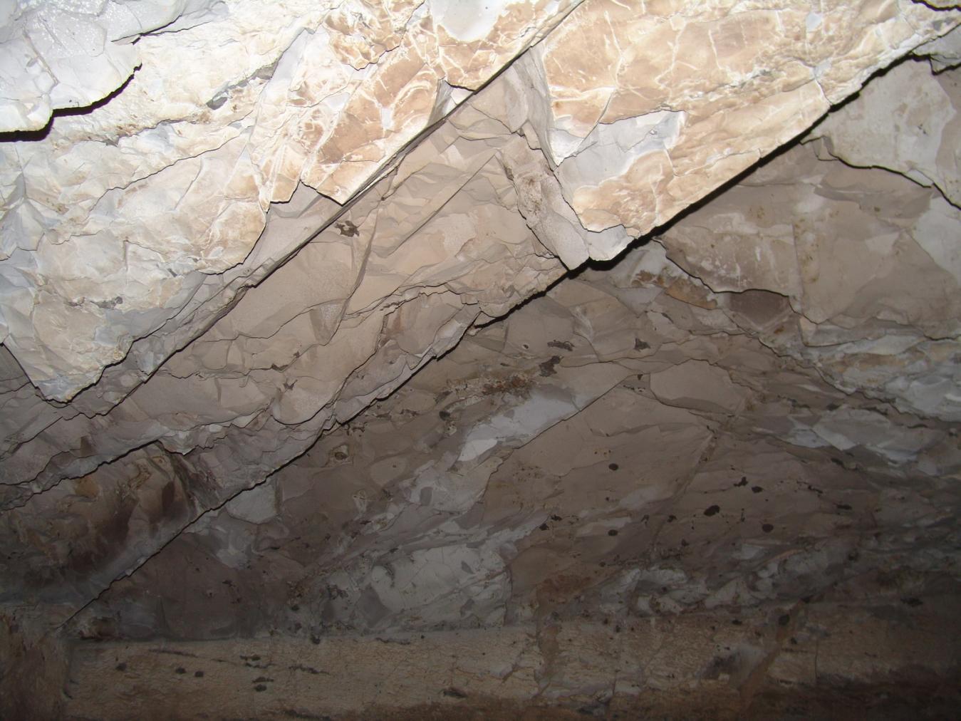 GCI/VOQ.01156.jpg