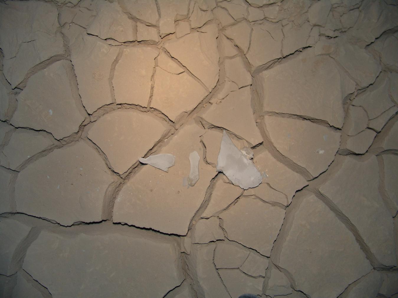 GCI/VOQ.01160.jpg