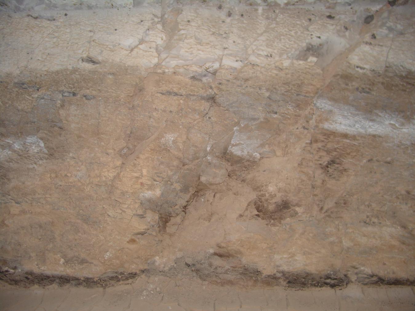GCI/VOQ.01161.jpg