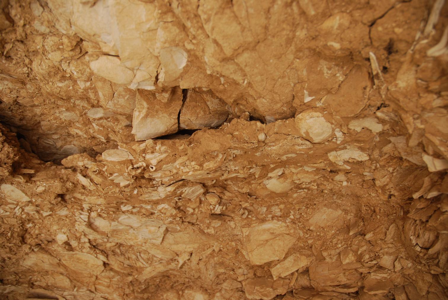 GCI/VOQ.01185.jpg