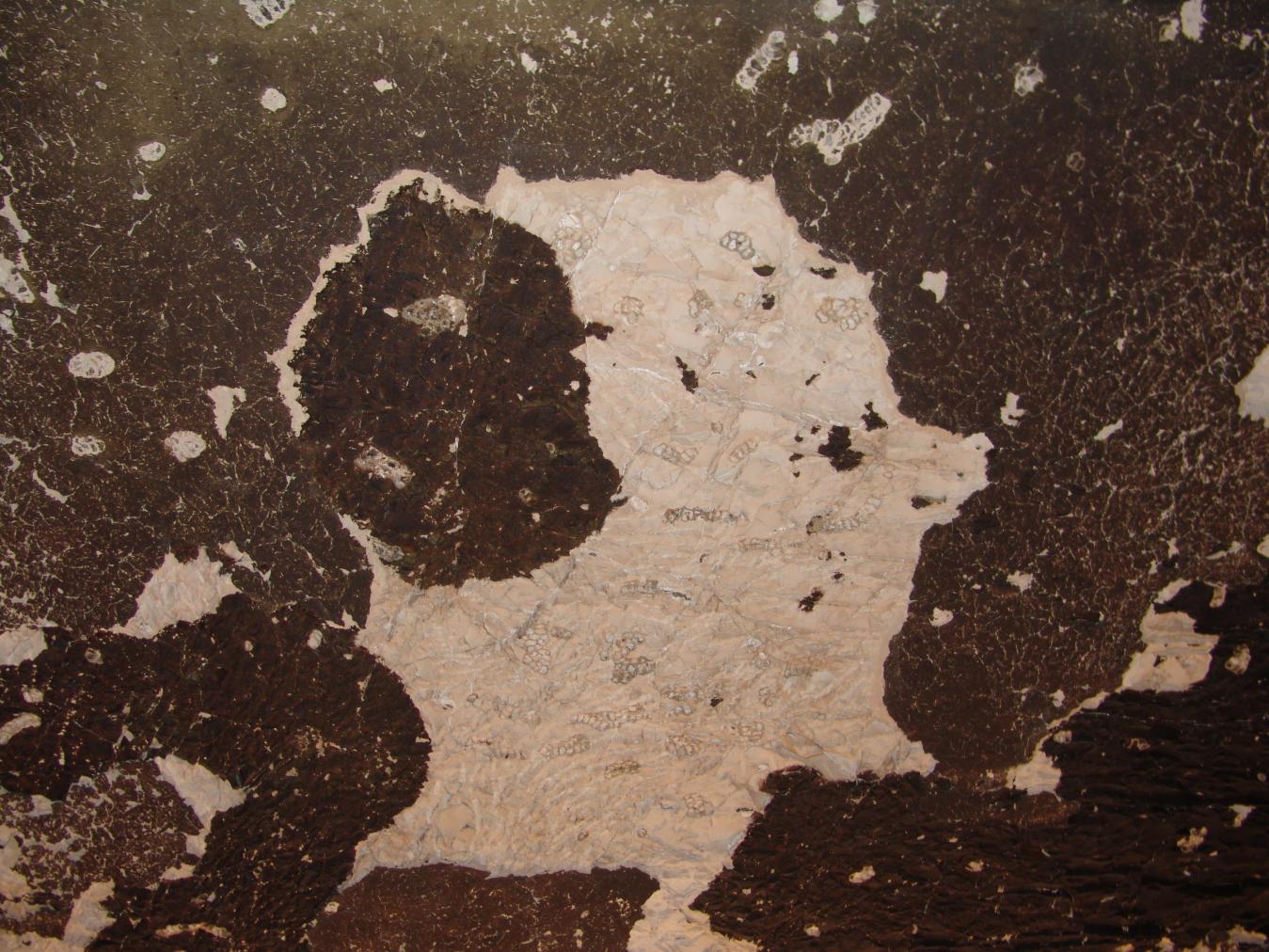 GCI/VOQ.01291.jpg
