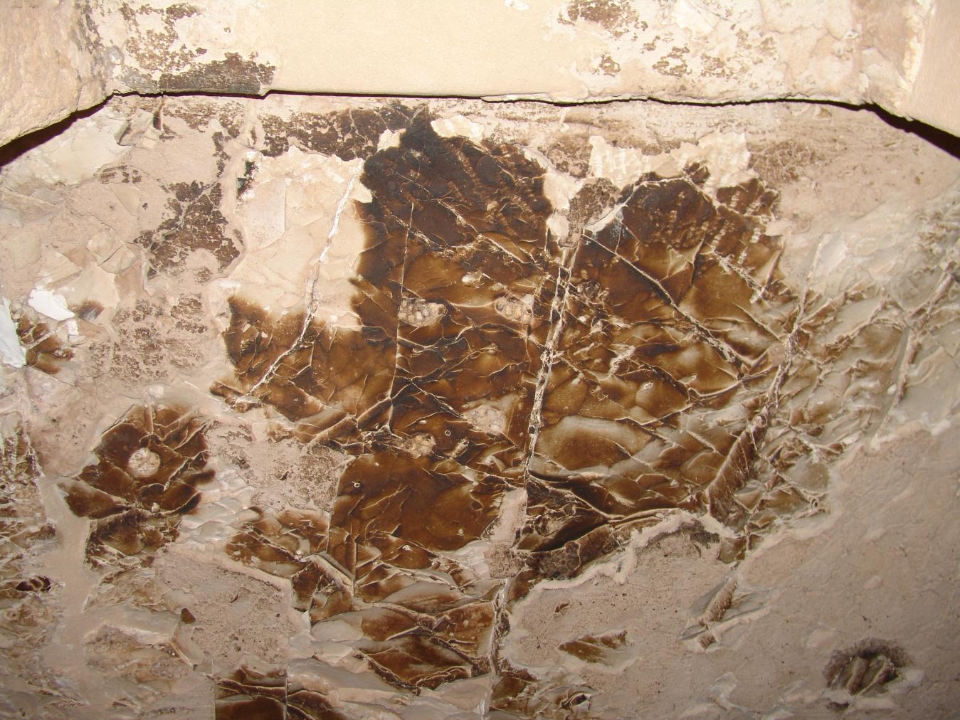 GCI/VOQ.01327.jpg