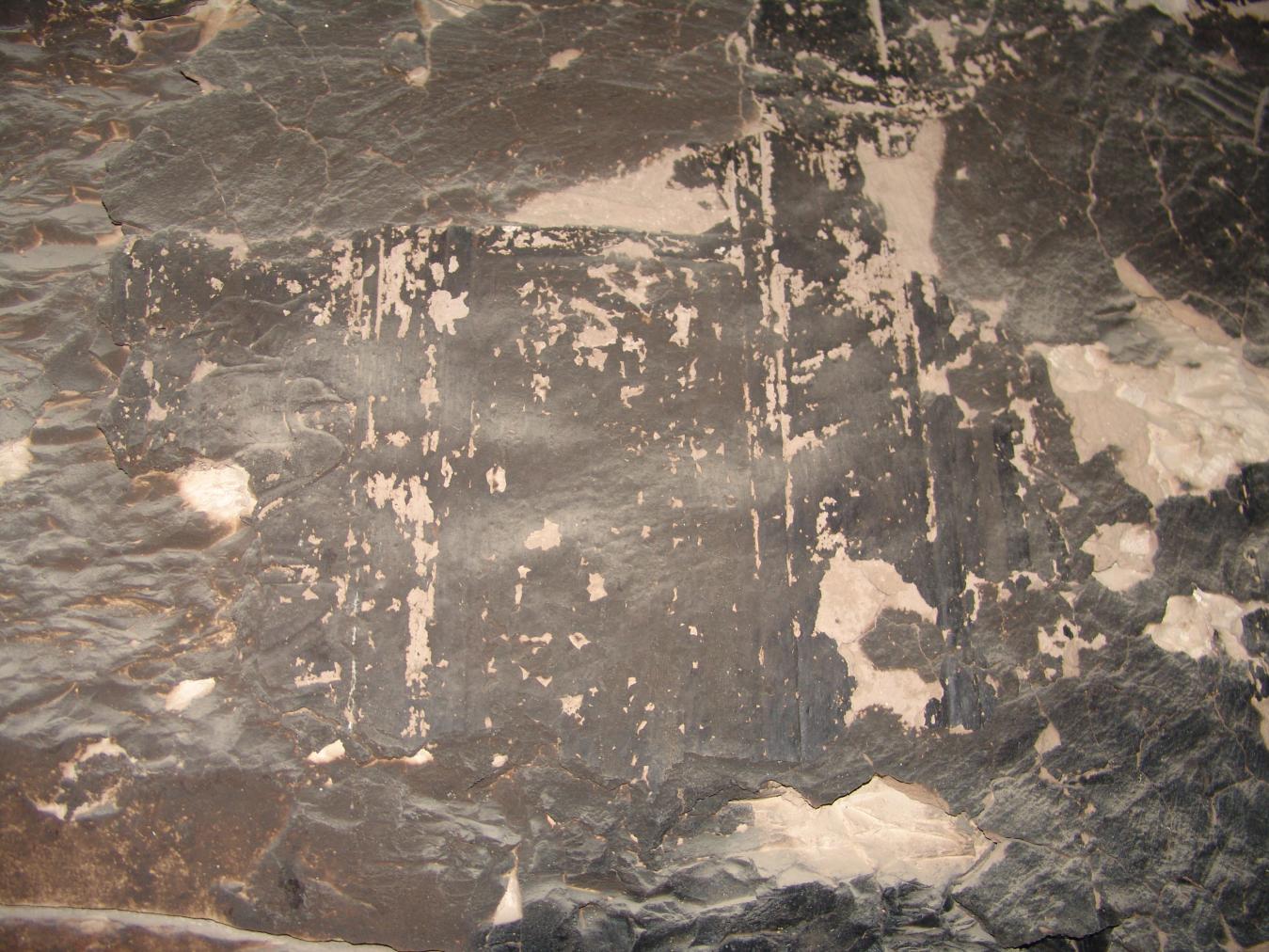 GCI/VOQ.01347.jpg