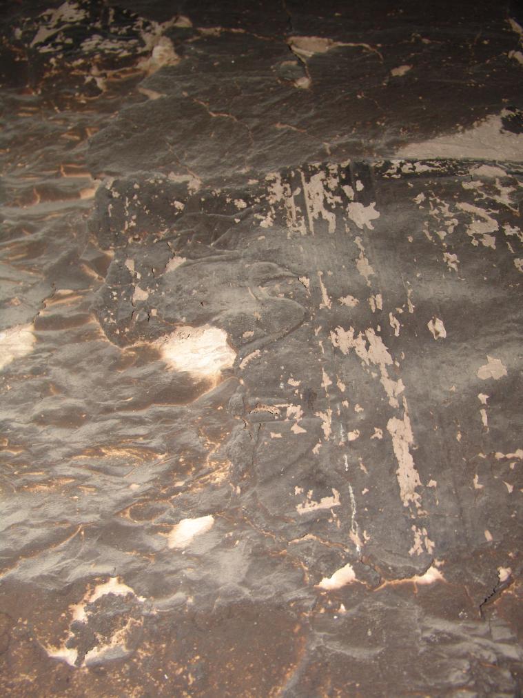 GCI/VOQ.01348.jpg