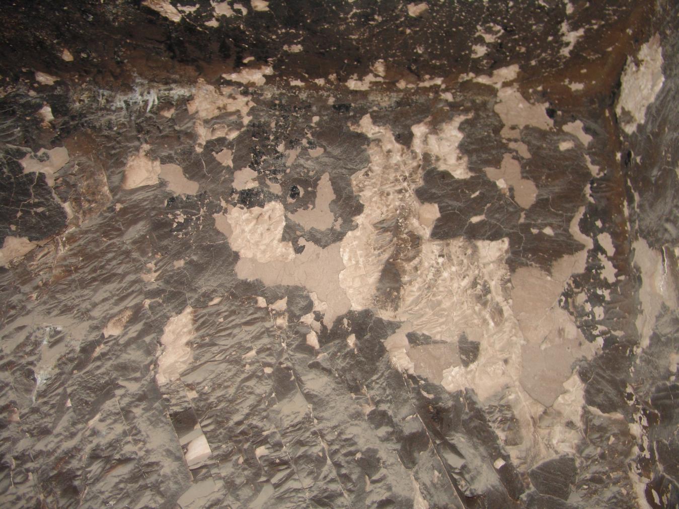 GCI/VOQ.01350.jpg