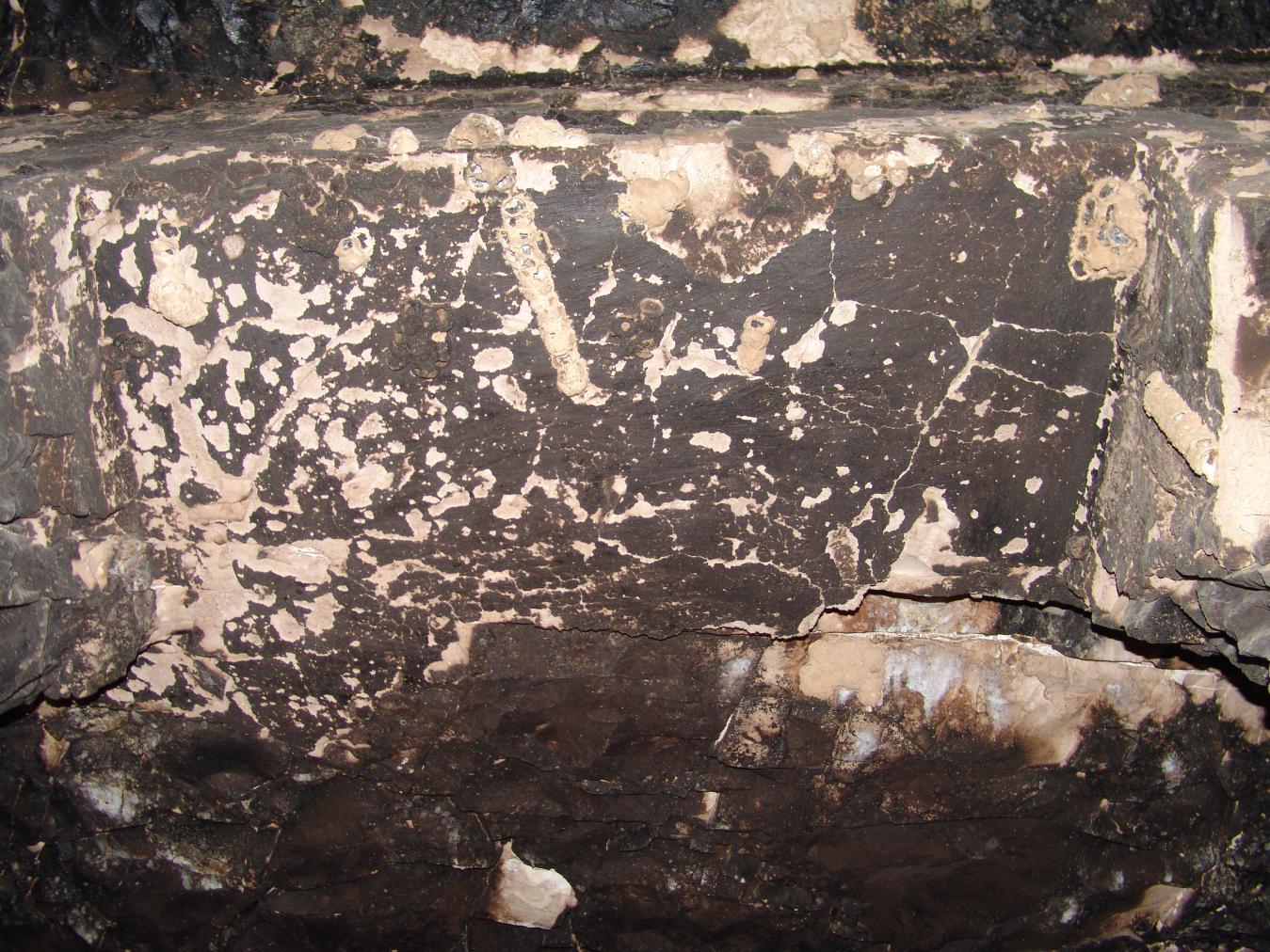 GCI/VOQ.01352.jpg