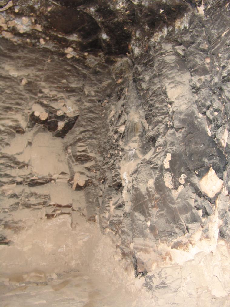 GCI/VOQ.01354.jpg