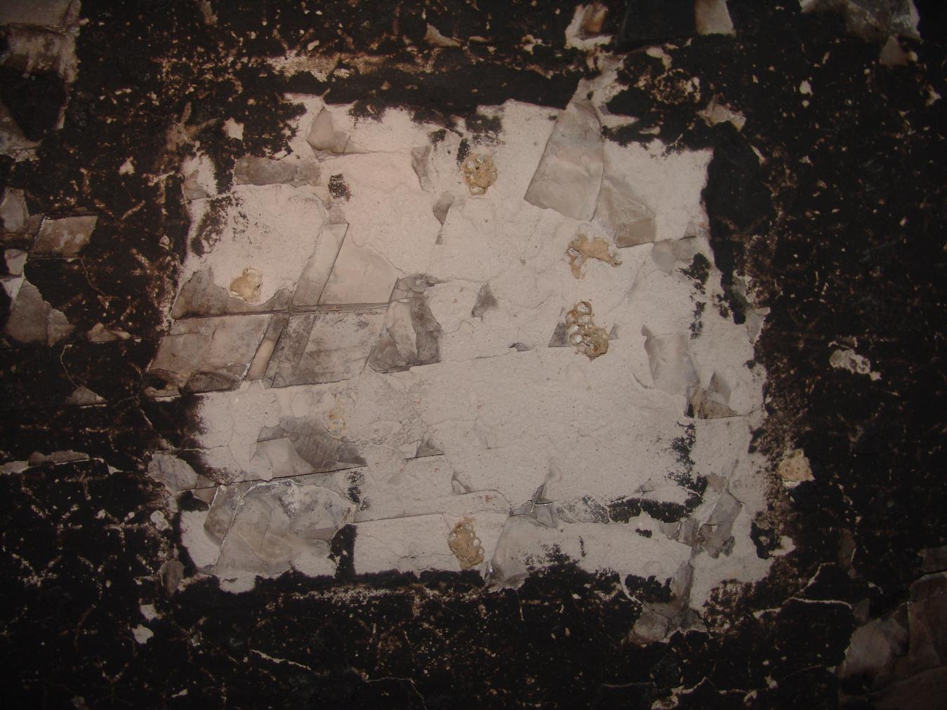 GCI/VOQ.01381.jpg