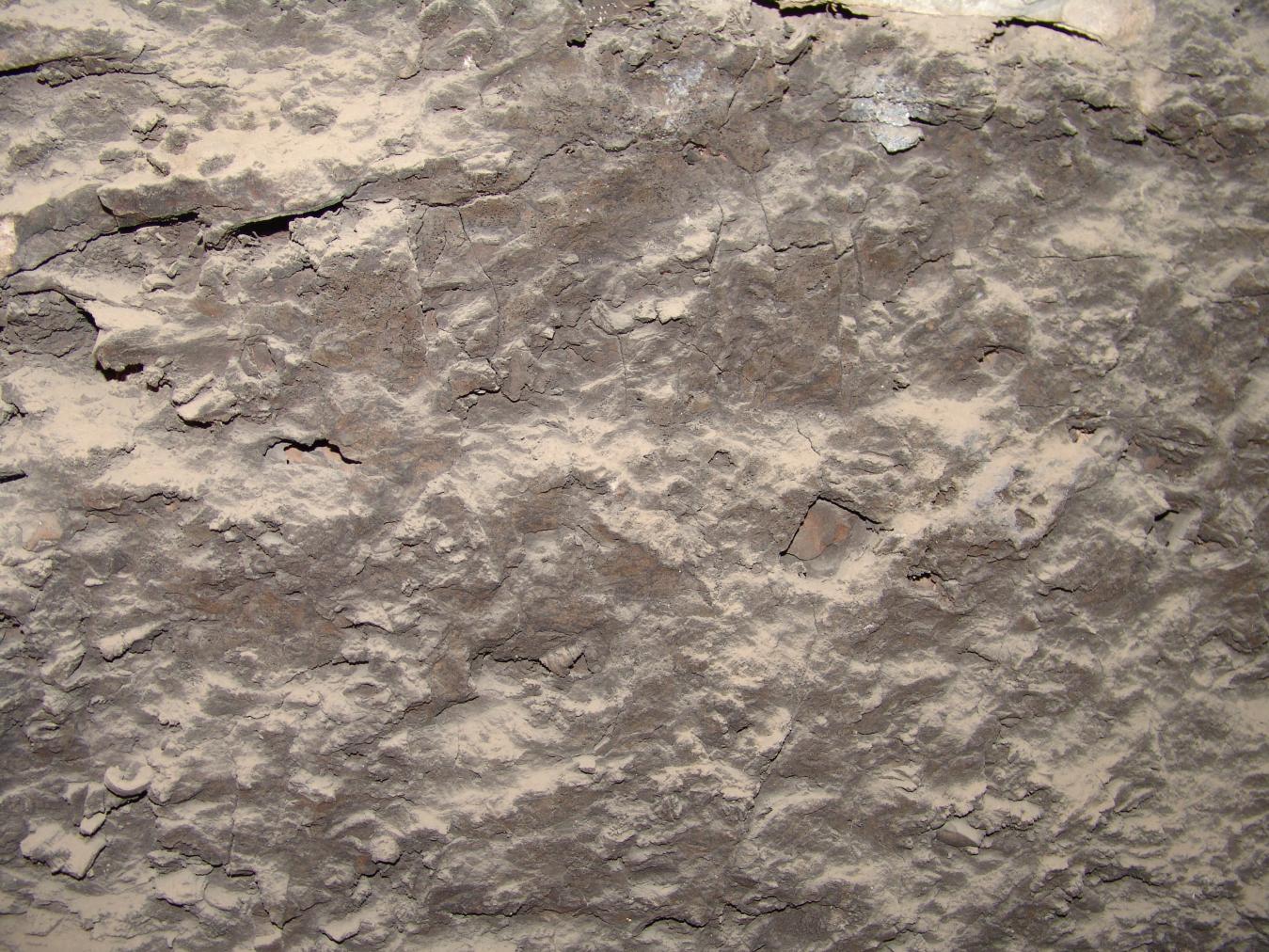 GCI/VOQ.01432.jpg