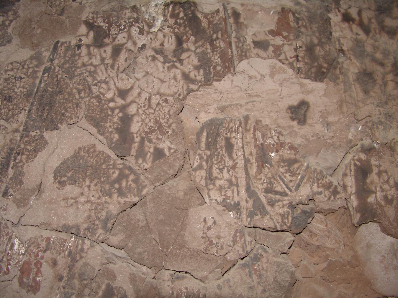 GCI/VOQ.01435.jpg