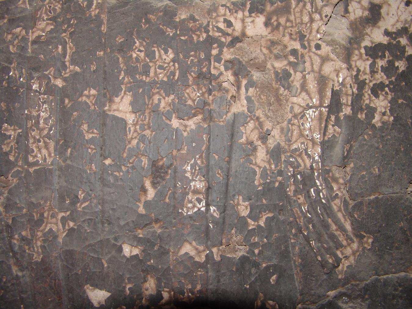 GCI/VOQ.01445.jpg