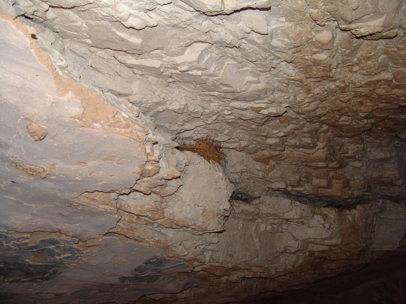GCI/VOQ.01460.jpg