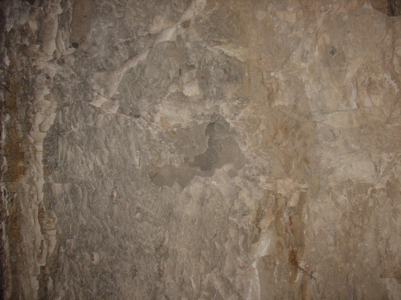 GCI/VOQ.01748.jpg