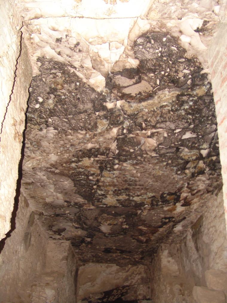 GCI/VOQ.01773.jpg