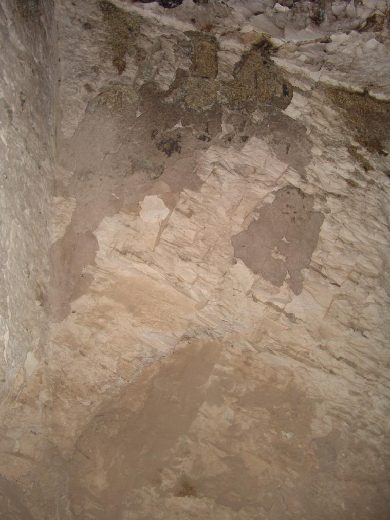 GCI/VOQ.01781.jpg