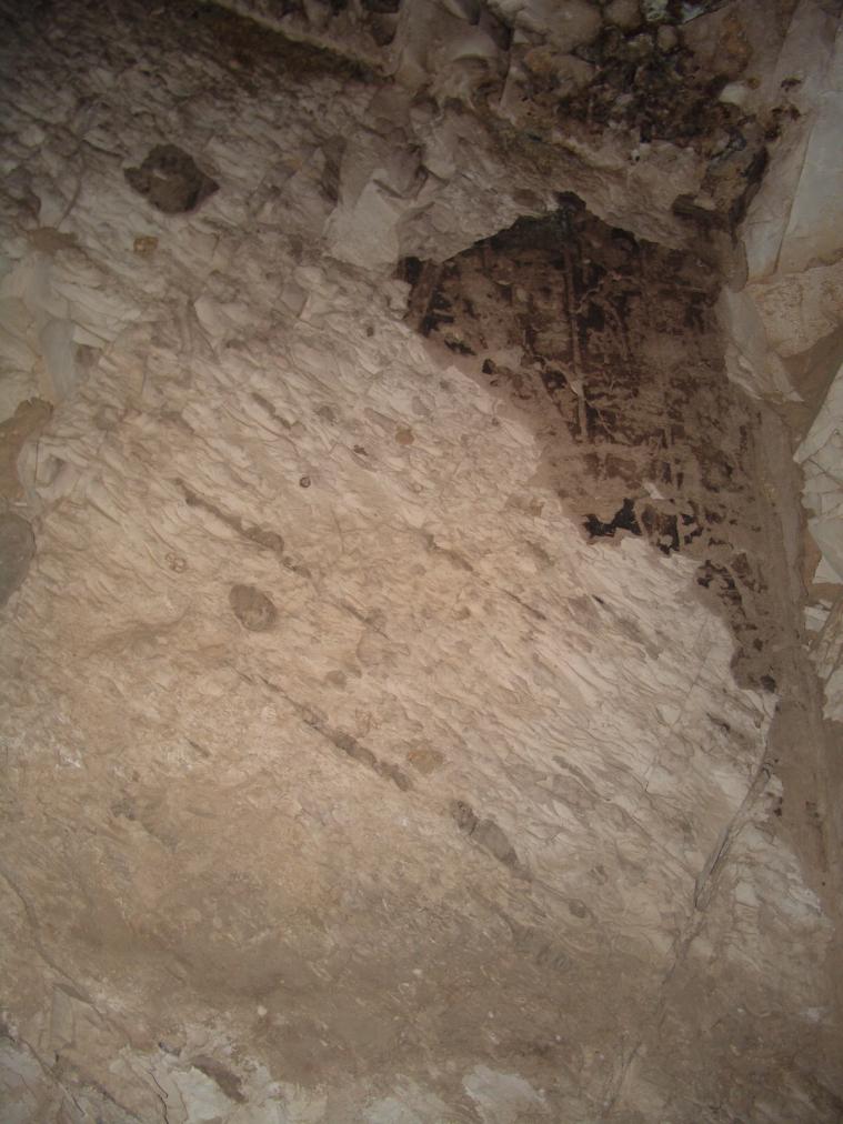 GCI/VOQ.01786.jpg