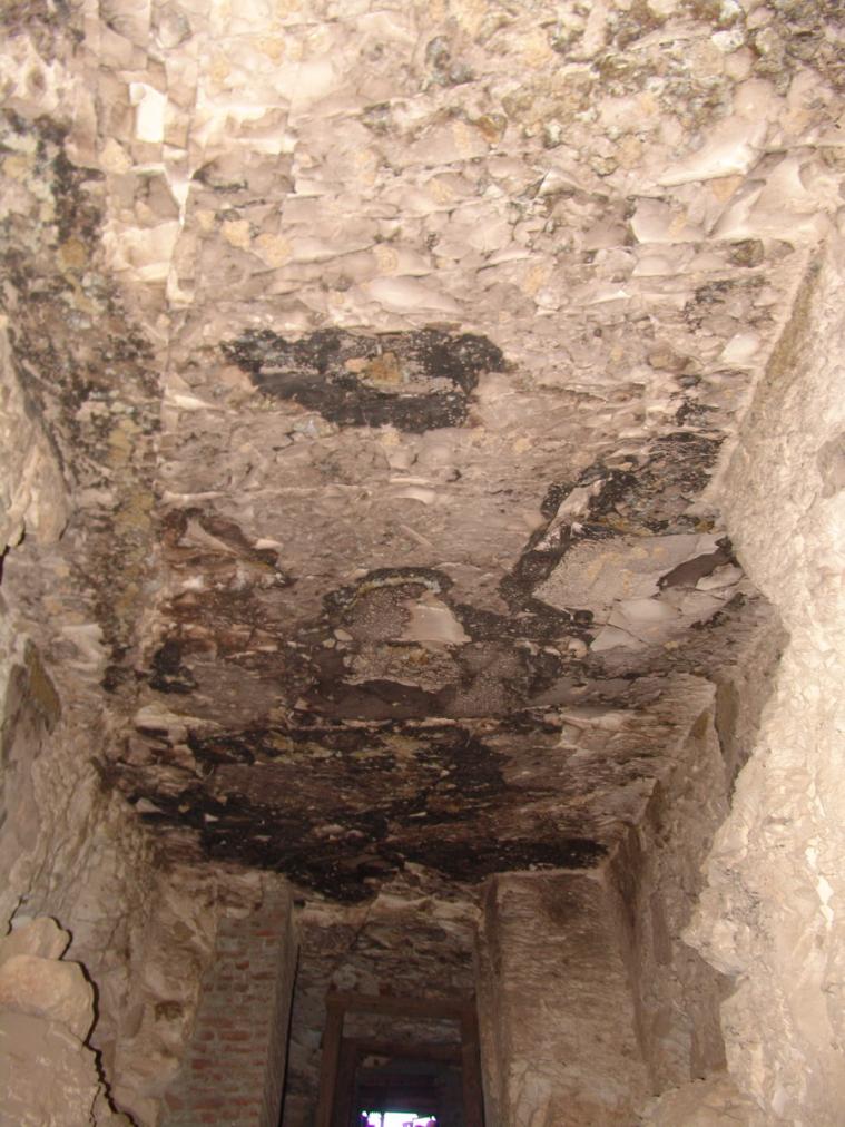 GCI/VOQ.01790.jpg