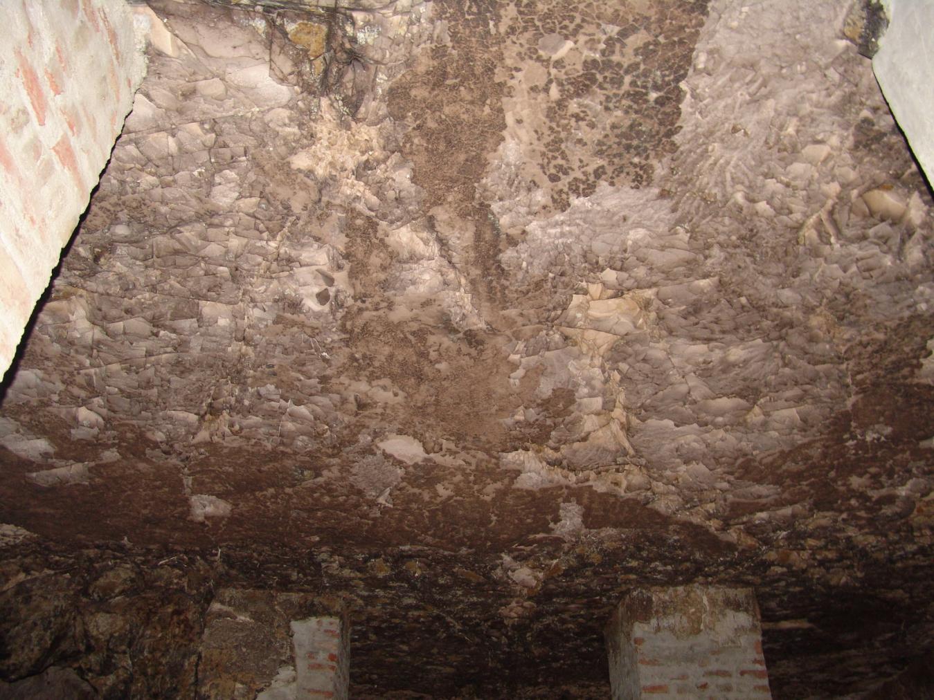 GCI/VOQ.01793.jpg