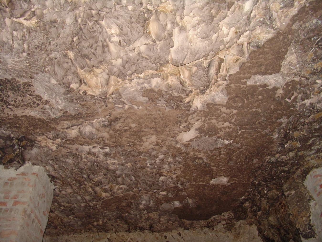 GCI/VOQ.01796.jpg