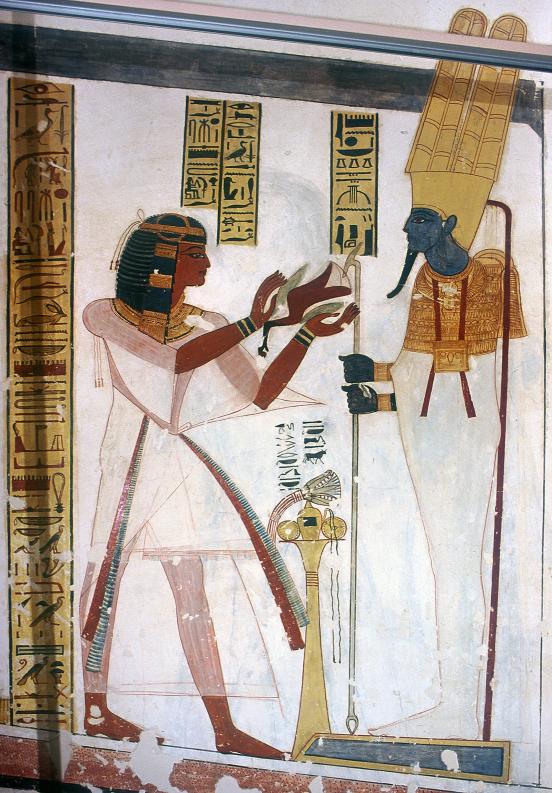 15516.jpg