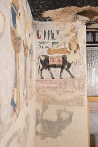 KV 11: Side Chamber C h: front wall 