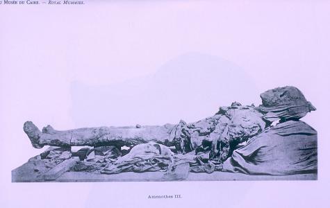 Mummy of Amenhetep III.