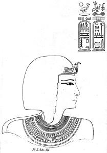 16445.jpg