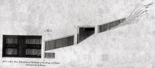 16931.jpg