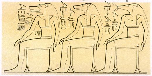16631.jpg